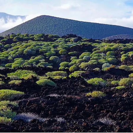 Live Casa Key アパート