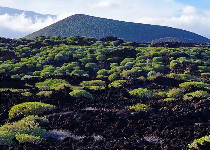 Live Casa Key Apartament